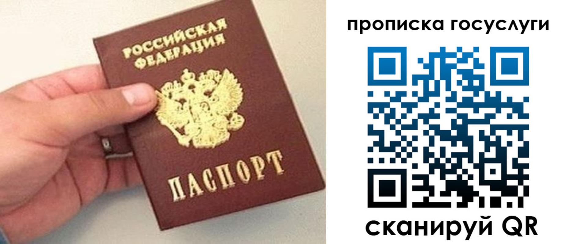 где прописаться в Пересвете